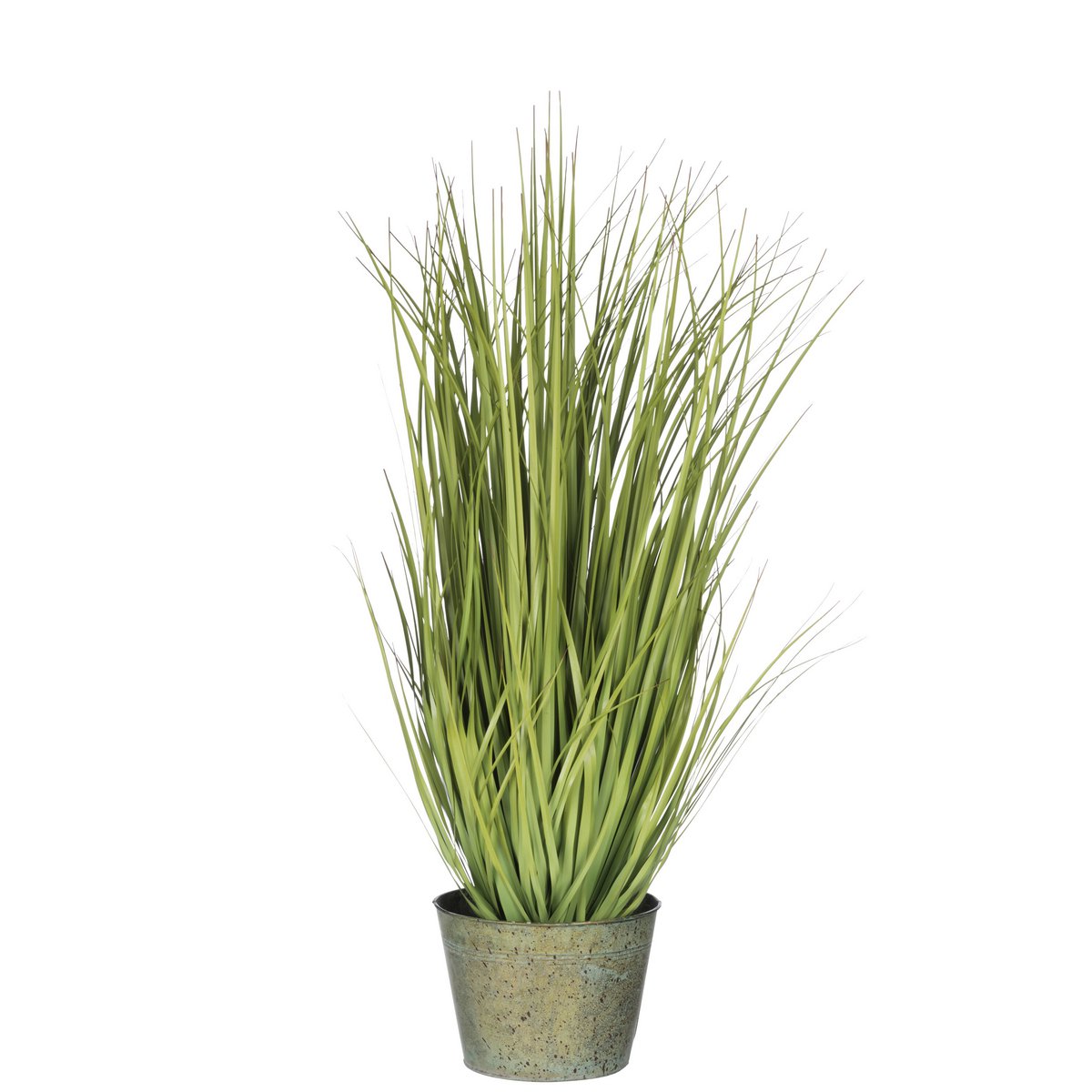 J-Line Graminées Sauvages En Pot Métal Vert Plastique Vert Grand