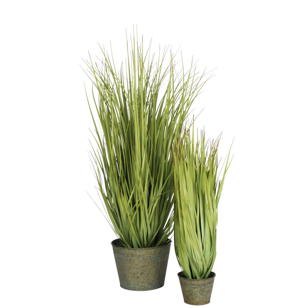 J-Line Graminées Sauvages En Pot Métal Vert Plastique Vert Grand