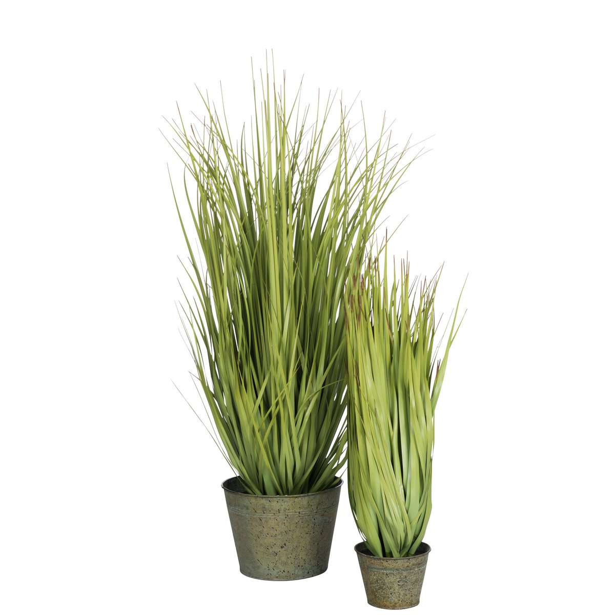 J-Line Graminées Sauvages En Pot Métal Vert Plastique Vert Grand